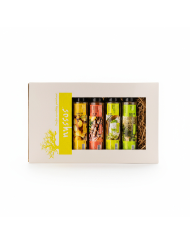 Set of 6 Spice & Herb Mixes in Bottles