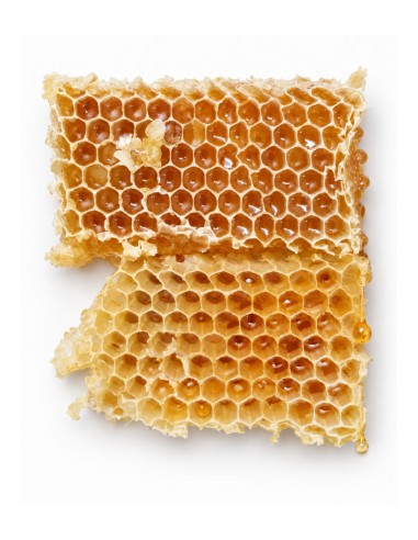 Κηρήθρα με Ανθόμελο 130 g